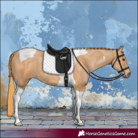 Horse Color:Chestnut Tobiano