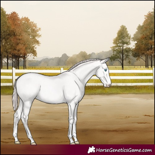 Horse Color:Perlino 