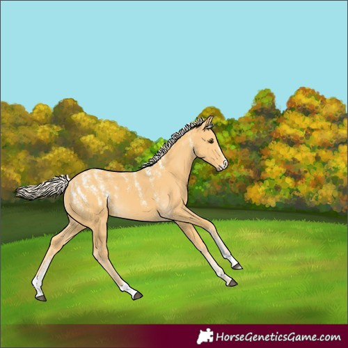 Horse Color:Powder White Palomino