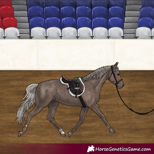 Horse Color:Silver Black 