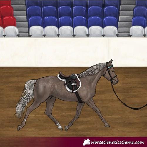 Horse Color:Silver Black 