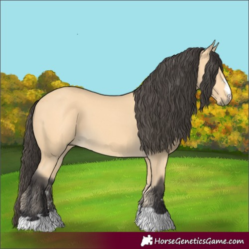 Horse Color:Buckskin 