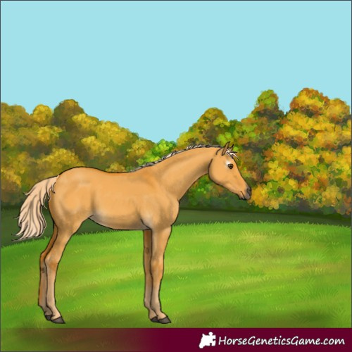 Horse Color:Gray Palomino Dun