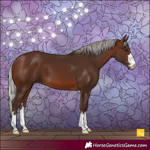 Horse Color:Silver Brown 