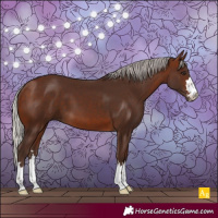 Horse Color:Silver Brown