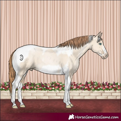 Horse Color:Smoky Grullo Pearl Tobiano Frame 