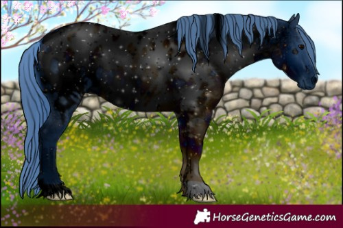 Horse Color:ERROR: UNKNOWN ANOMALY
