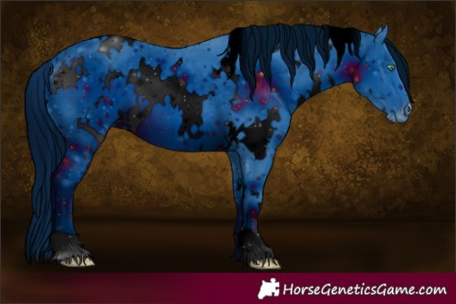 Horse Color:ERROR: UNKNOWN ANOMALY