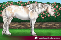 Horse Color:Gray White Spotted Silver Bay Ice Pearl Onyx