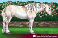 Horse Color:Gray White Spotted Silver Bay Ice Pearl Onyx 