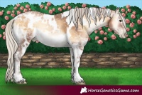 Horse Color:Gray White Spotted Silver Bay Ice Pearl Onyx 