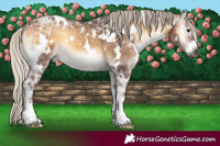 Horse Color:Gray White Spotted Silver Bay Ice Onyx 