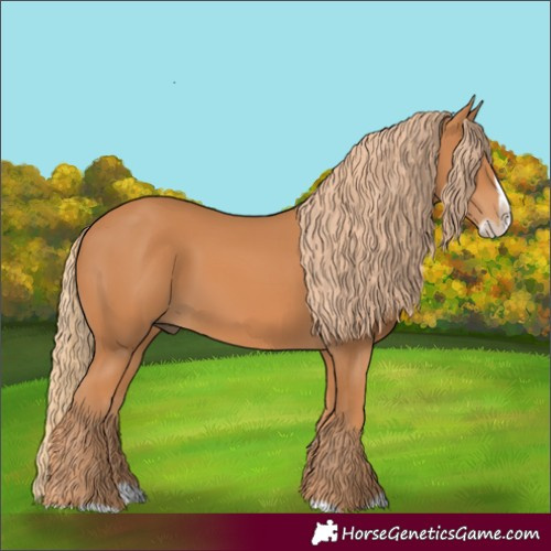 Horse Color:Chestnut Splash Frame