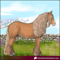 Horse Color:Chestnut Splash Frame 