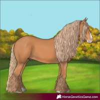 Horse Color:Chestnut Splash Frame