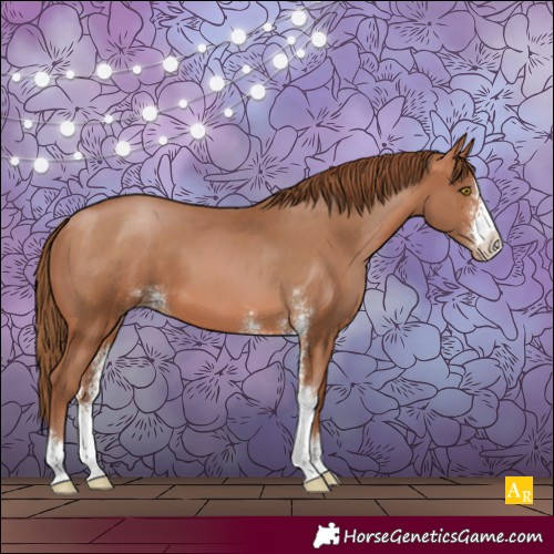 Horse Color:Brown Pearl Sabino 