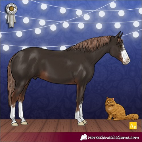 Horse Color:Liver Chestnut 