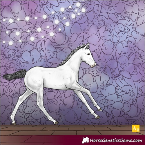 Horse Color:Black Sabino Rabicano