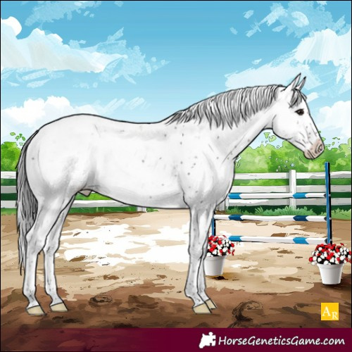 Horse Color:Brown Sabino Rabicano 