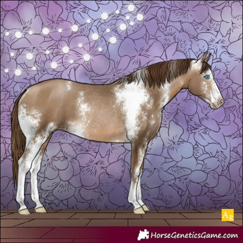 Horse Color:Gray Buckskin Pearl Sabino Rabicano
