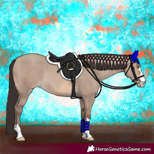 Horse Color:Sable Champagne Dun 