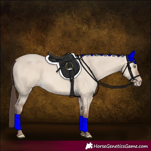 Horse Color:Amber Champagne Dun 