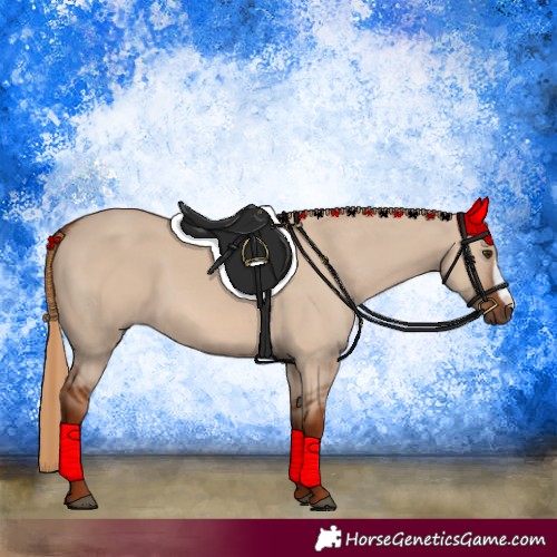 Horse Color:Red Dun Frame 