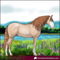 Horse Color:Classic Champagne Pearl Sabino