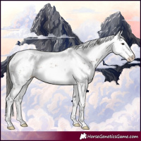 Horse Color:Bay Sabino 