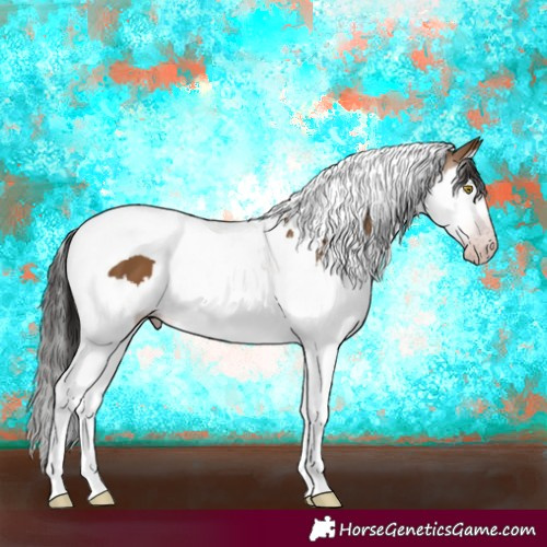 Horse Color:Gray Amber Champagne Splash Tobiano