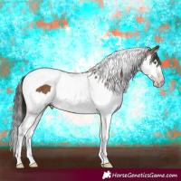 Horse Color:Gray Amber Champagne Splash Tobiano 