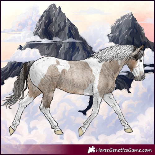 Horse Color:Gray Bay Roan Dun Splash Tobiano