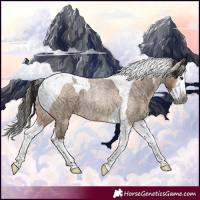 Horse Color:Gray Bay Roan Dun Splash Tobiano