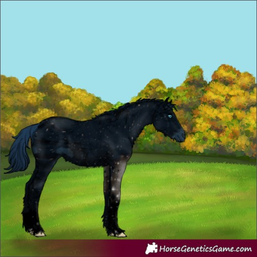 Horse Color:ERROR: UNKNOWN ANOMALY