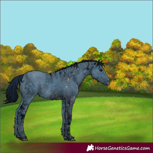 Horse Color:ERROR: UNKNOWN ANOMALY