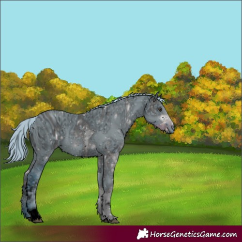 Horse Color:ERROR: UNKNOWN ANOMALY