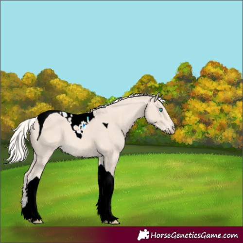 Horse Color:Cremello Tobiano