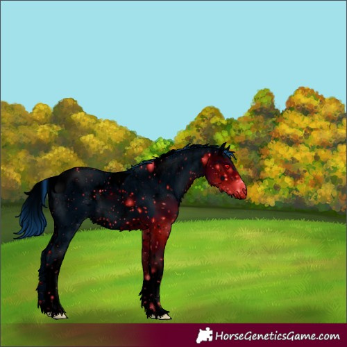 Horse Color:ERROR: UNKNOWN ANOMALY