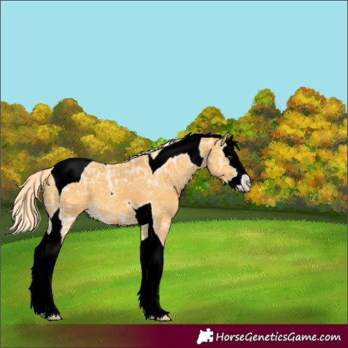 Horse Color:Palomino Ice Splash Tobiano