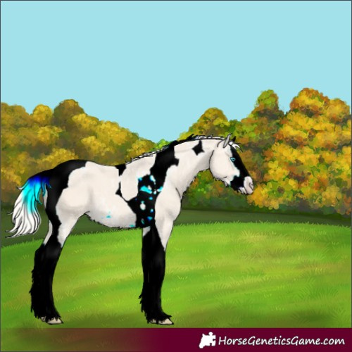 Horse Color:Cremello Ice Splash Tobiano 