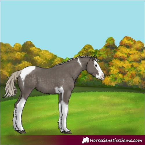 Horse Color:Silver Smoky Black Splash Tobiano