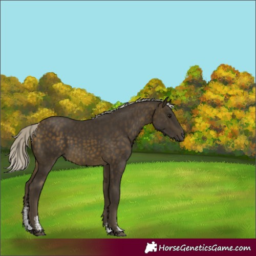 Horse Color:Silver Buckskin Sabino