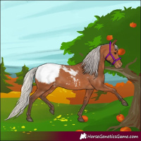 Horse Color:Silver Bay Snowcap