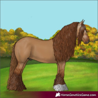 Horse Color:Gray Red Dun