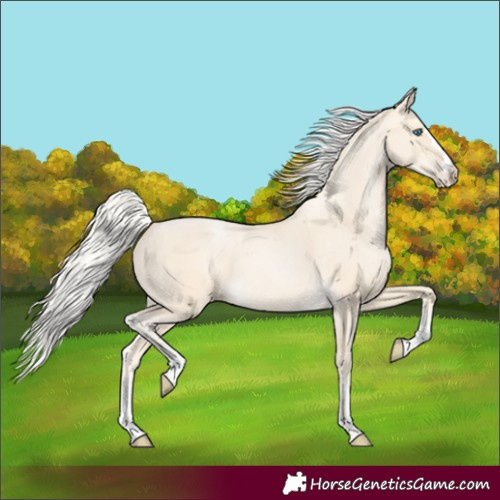 Horse Color:Silver Smoky Black Pearl 