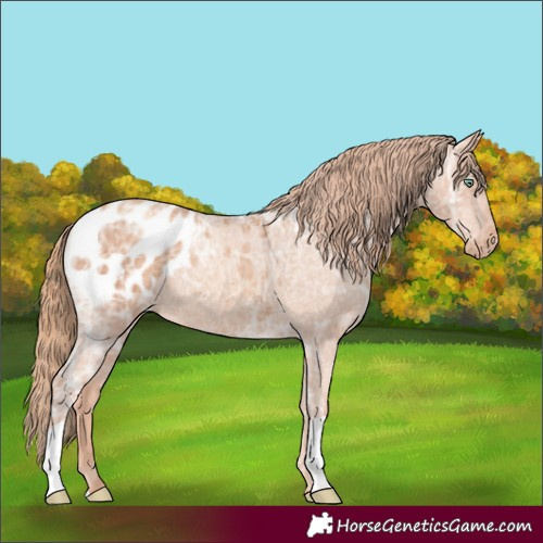 Horse Color:Gold Champagne Ice Blanket 