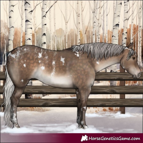 Horse Color:Powder White White Spotted Silver Brown Dun Rabicano 