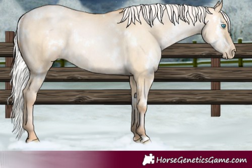 Horse Color:White Spotted Silver Buckskin Snowdrop Dun Rabicano 