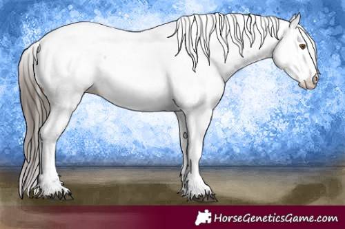 Horse Color:Bay Sabino Fewspot 