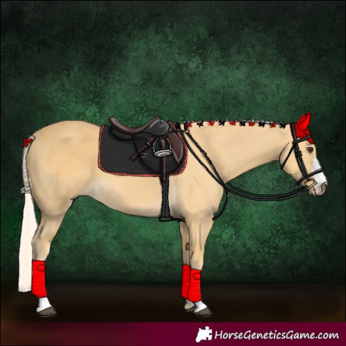 Horse Color:Palomino 